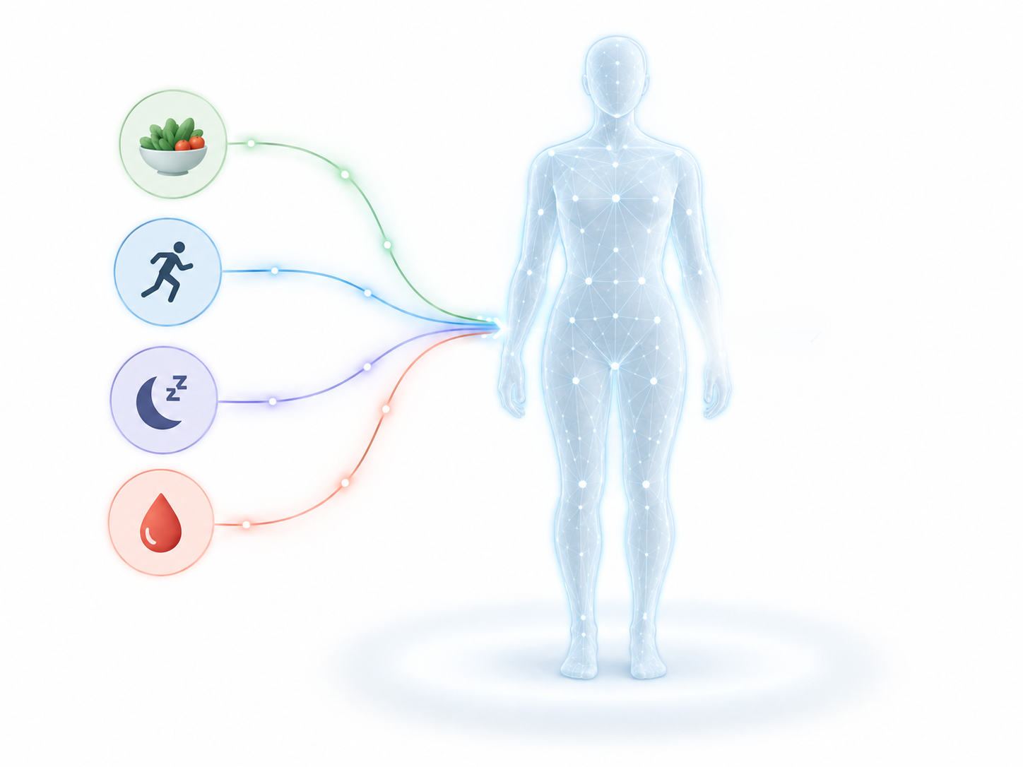 Metabolic Digital Twin